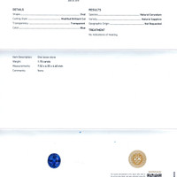 Jewelry Scan Report