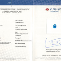 10.05 Ct. Blue Sapphire from Ceylon (Sri Lanka) Scan Report