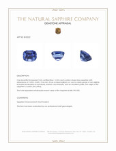 12.35 Ct. Blue Sapphire from Ceylon (Sri Lanka) Appraisal