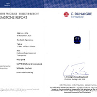 Jewelry Scan Report