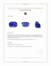 26.01 Ct. Blue Sapphire from Burma (Myanmar) Appraisal