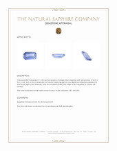 1.18 Ct. Blue Sapphire from Ceylon (Sri Lanka) Appraisal