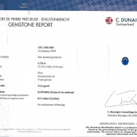 Jewelry Scan Report