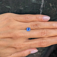 1.46 Ct. Blue Sapphire from Ceylon (Sri Lanka) Life Style