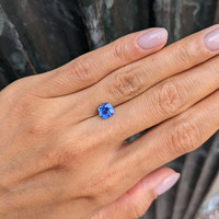 1.46 Ct. Blue Sapphire from Ceylon (Sri Lanka) Life Style