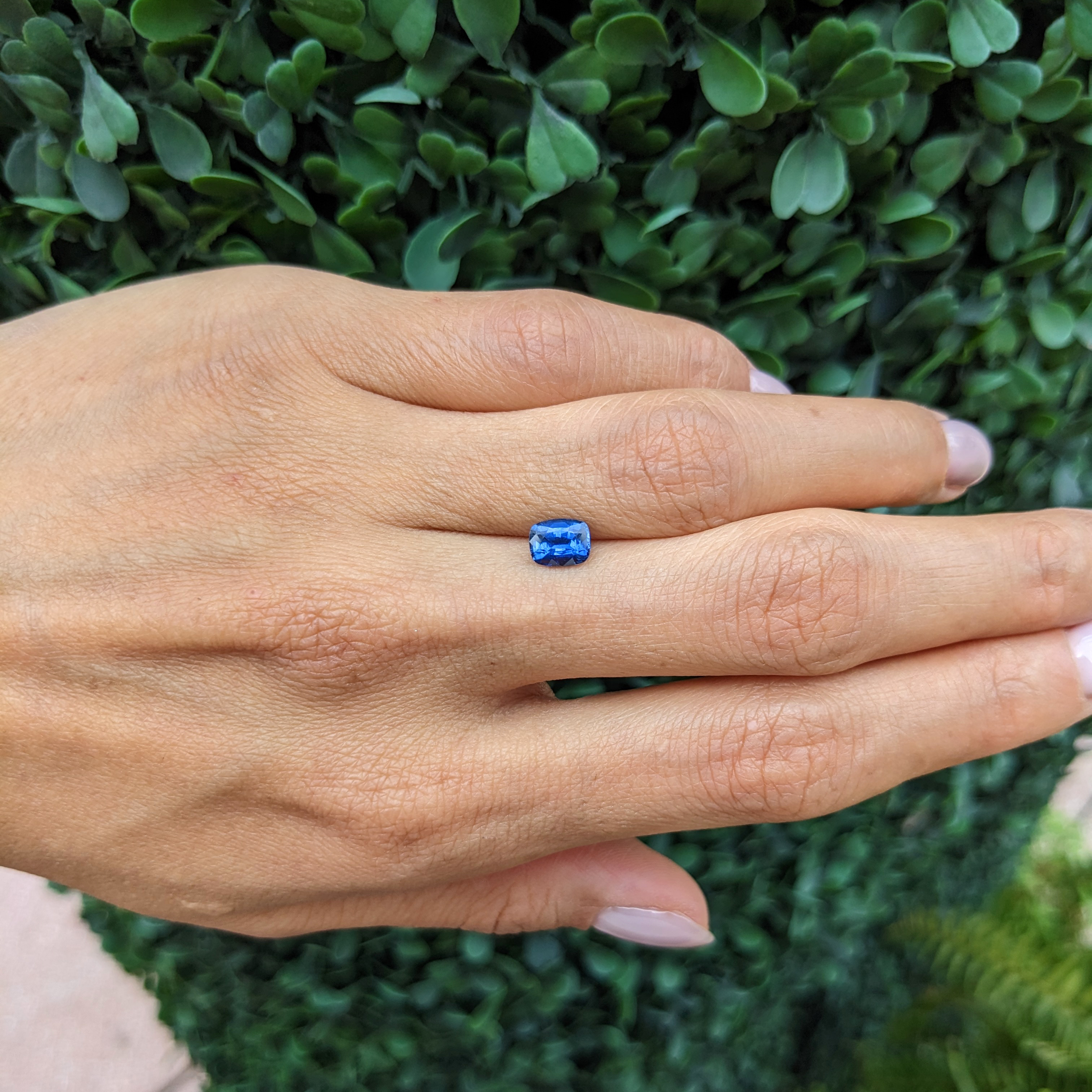 Loose Blue Sapphire - Cushion 1.03 Ct. - #B10900 | The Natural