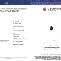 Jewelry Scan Report