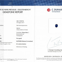 Jewelry Scan Report
