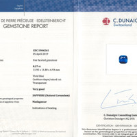 Jewelry Scan Report