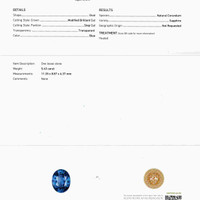 Jewelry Scan Report