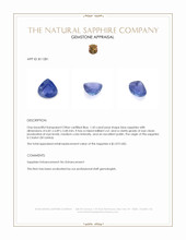 Jewelry Appraisal