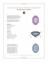 Jewelry 3 D Scan Report