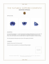 1.11 Ct. Blue Sapphire from Ceylon (Sri Lanka) Appraisal