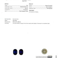 Jewelry Scan Report