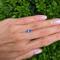 1.13 Ct. Blue Sapphire from Ceylon (Sri Lanka) Life Style