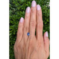 1.13 Ct. Blue Sapphire from Ceylon (Sri Lanka) Life Style