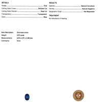 Jewelry Scan Report