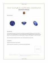3.20 Ct. Blue Sapphire from Ceylon (Sri Lanka) Appraisal