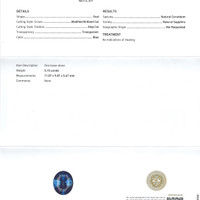 Jewelry Scan Report