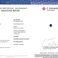 Jewelry Scan Report