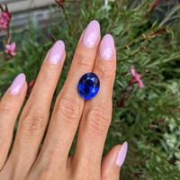 13.50 Ct. Blue Sapphire from Ceylon (Sri Lanka) Life Style
