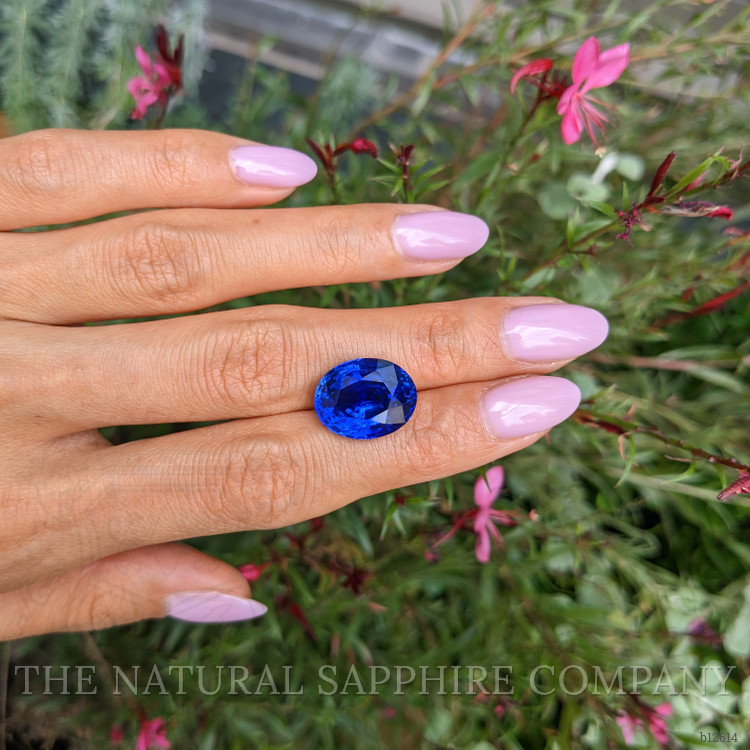13.50 Ct. Blue Sapphire from Ceylon (Sri Lanka)