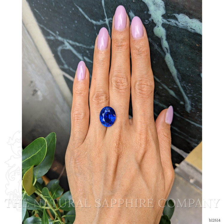 13.50 Ct. Blue Sapphire from Ceylon (Sri Lanka)