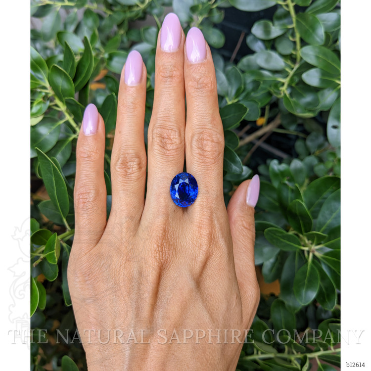 13.50 Ct. Blue Sapphire from Ceylon (Sri Lanka)