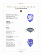 Jewelry 3 D Scan Report