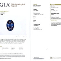 Jewelry Scan Report