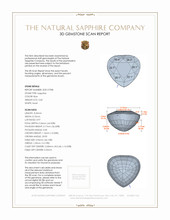 3.60 Ct. Blue Sapphire and Natural Diamond Pave Ring, Platinum 950 3 D Scan Report