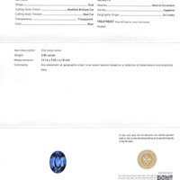 Jewelry Scan Report