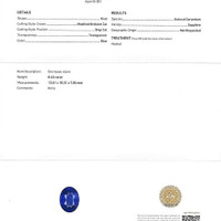Jewelry Scan Report
