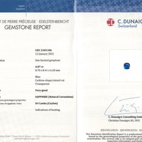 Jewelry Scan Report