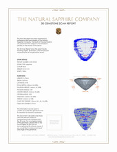 Jewelry 3 D Scan Report