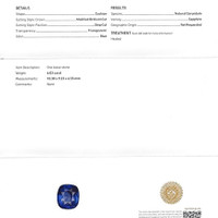 6.03 Ct. Blue Sapphire from Ceylon (Sri Lanka) Scan Report