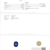 Jewelry Scan Report