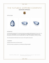 Jewelry Appraisal