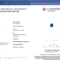 Jewelry Scan Report