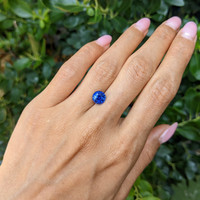 2.66 Ct. Blue Sapphire from Ceylon (Sri Lanka) Life Style