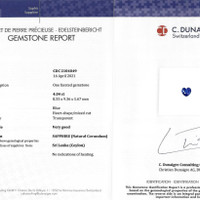Jewelry Scan Report