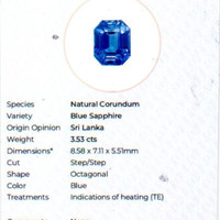 Jewelry Scan Report