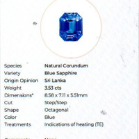 Jewelry Scan Report