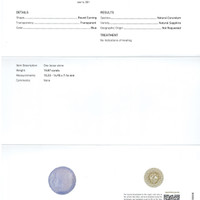 15.87 Ct. Blue Sapphire from Ceylon (Sri Lanka) Scan Report