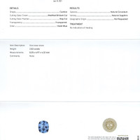 Jewelry Scan Report