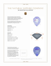 Jewelry 3 D Scan Report