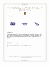 0.79 Ct. Bluish Purple Sapphire from Ceylon (Sri Lanka) Appraisal