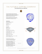Jewelry 3 D Scan Report