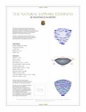 Jewelry 3 D Scan Report