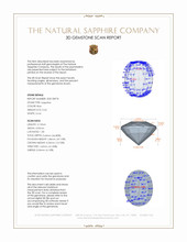 Jewelry 3 D Scan Report